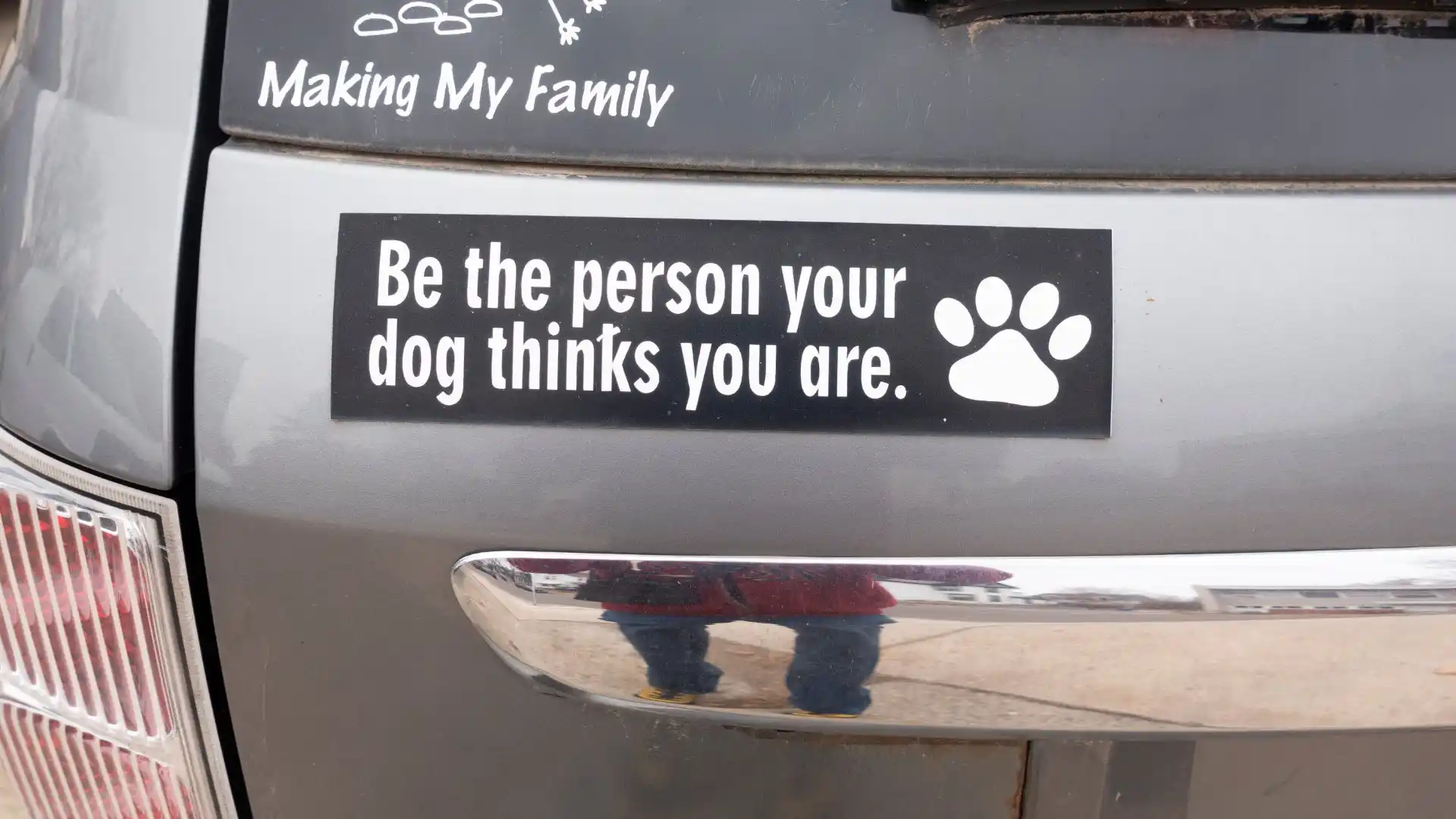 Custom Bumper Stickers - Image 8