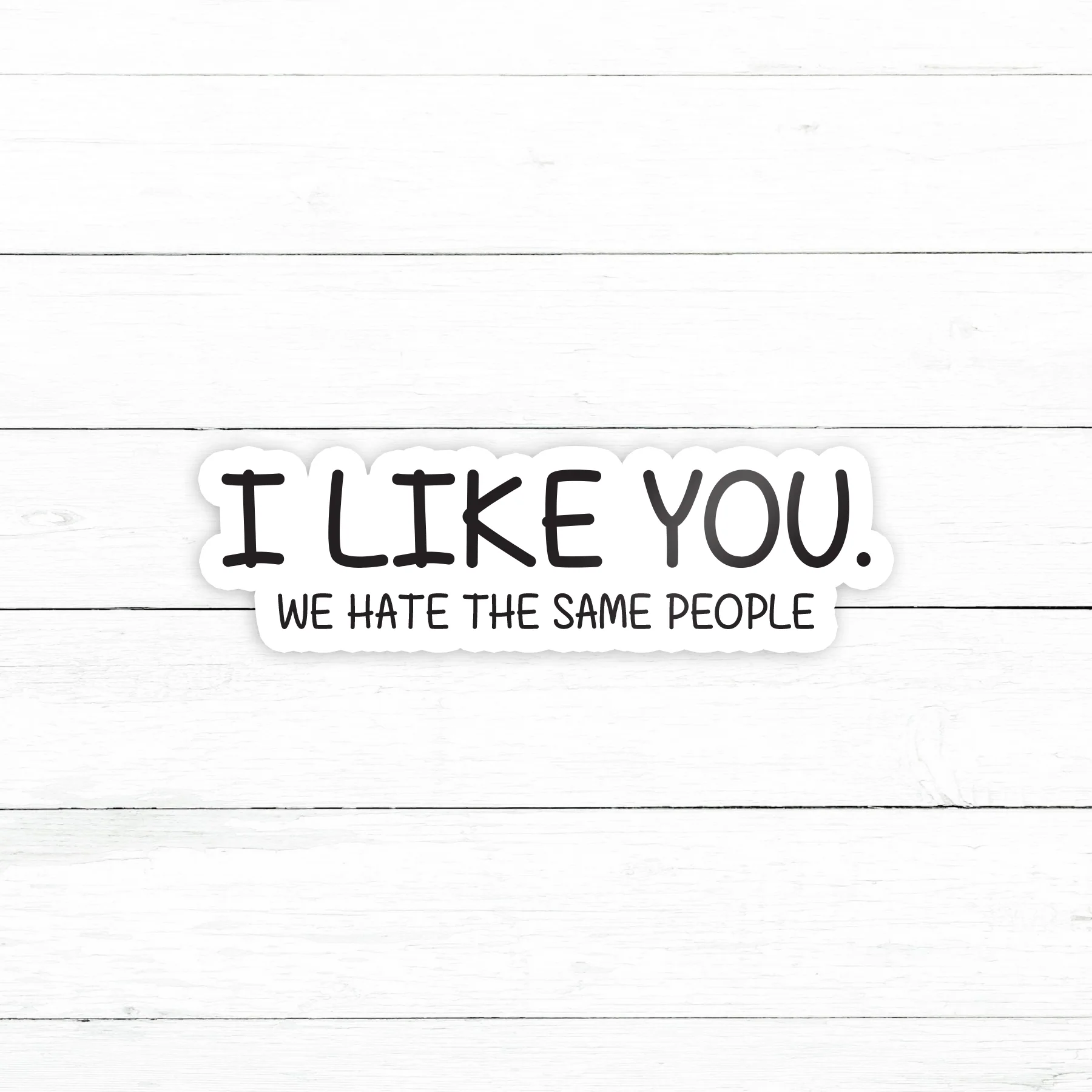 I Like You Sticker | Waterproof Vinyl Decal | 3in