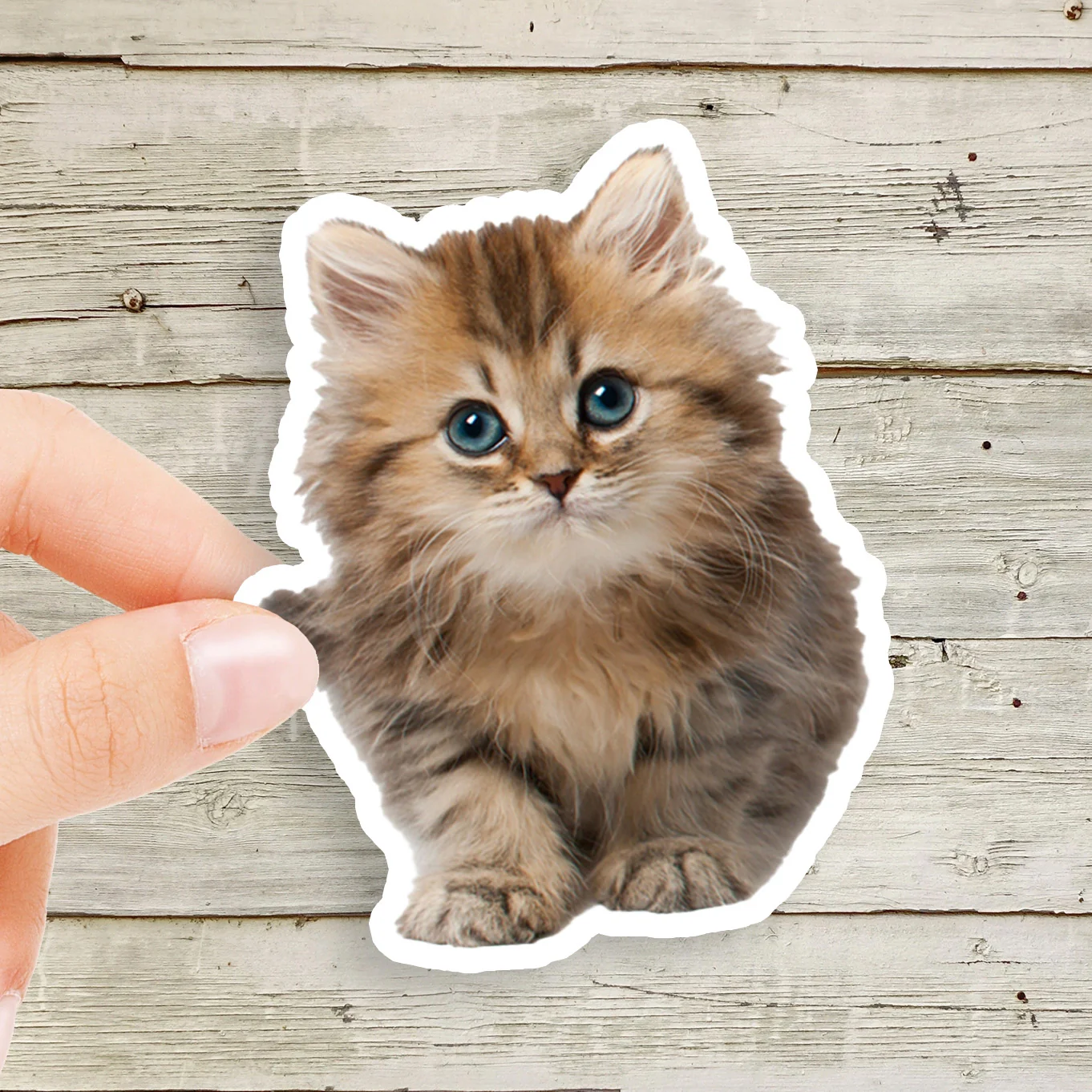 Laptop Stickers - Image 7