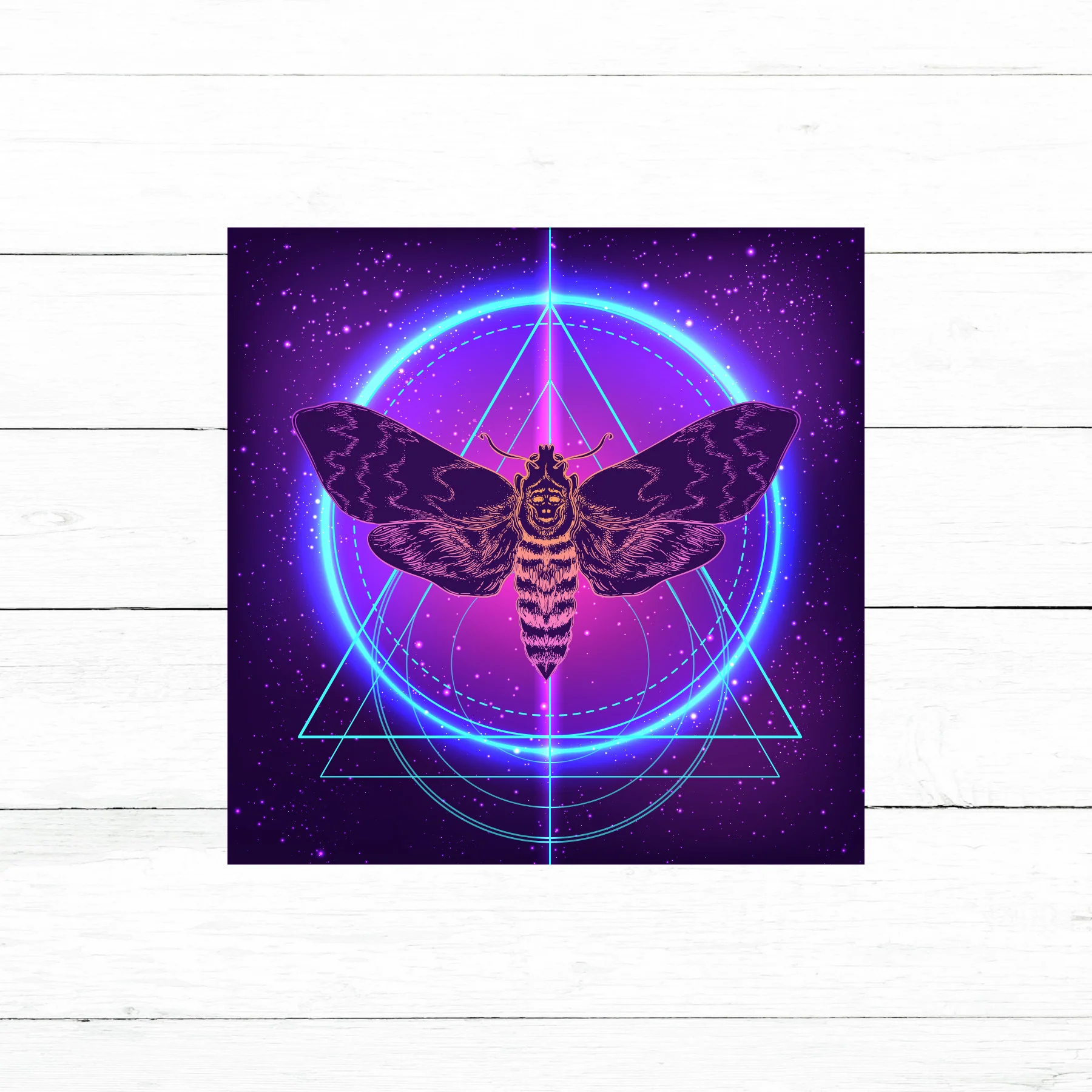 Moth Sticker | Waterproof Vinyl Decal | 3in